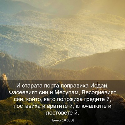 Picture 03 - Неемия 3:6 BULG - И старата порта поправиха - Bible Verse Picture