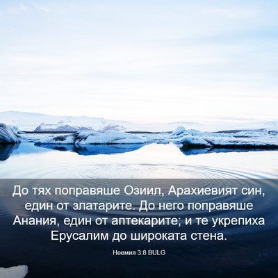 Picture 03 - Неемия 3:8 BULG - До тях поправяше Озиил, - Bible Verse Picture