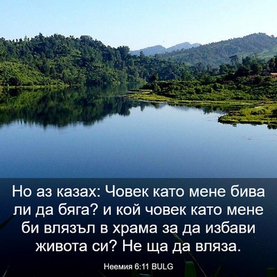 Picture 03 - Неемия 6:11 BULG - Но аз казах: Човек като - Bible Verse Picture
