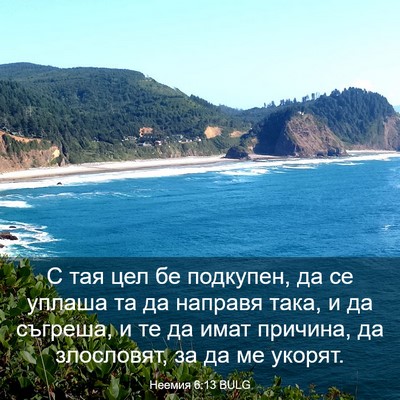 Picture 03 - Неемия 6:13 BULG - С тая цел бе подкупен, да се - Bible Verse Picture