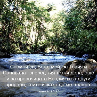 Picture 03 - Неемия 6:14 BULG - Спомни си, Боже мой, за - Bible Verse Picture