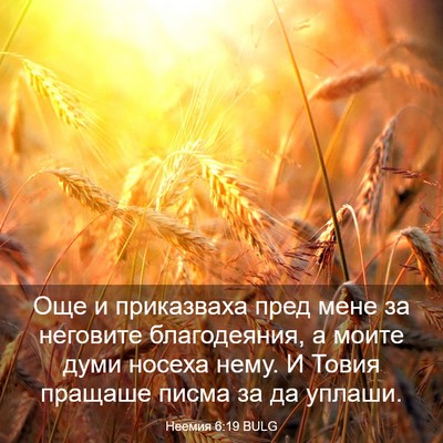 Picture 03 - Неемия 6:19 BULG - Още и приказваха пред мене - Bible Verse Picture