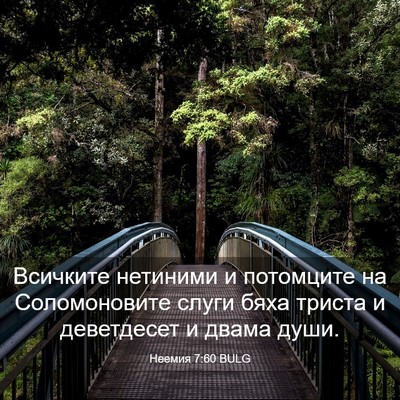 Picture 03 - Неемия 7:60 BULG - Всичките нетиними и - Bible Verse Picture