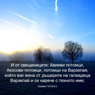 Picture 03 - Неемия 7:63 BULG - И от свещениците: Авиеви - Bible Verse Picture