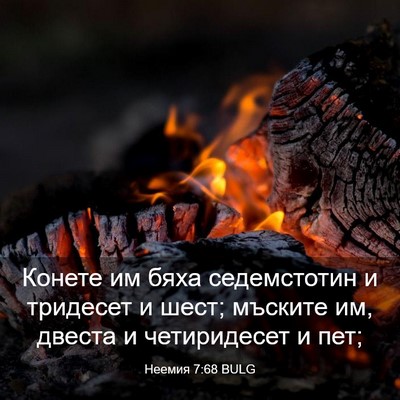 Picture 03 - Неемия 7:68 BULG - Конете им бяха седемстотин - Bible Verse Picture