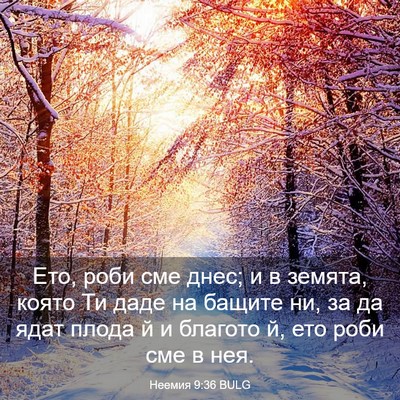 Picture 03 - Неемия 9:36 BULG - Ето, роби сме днес; и в - Bible Verse Picture
