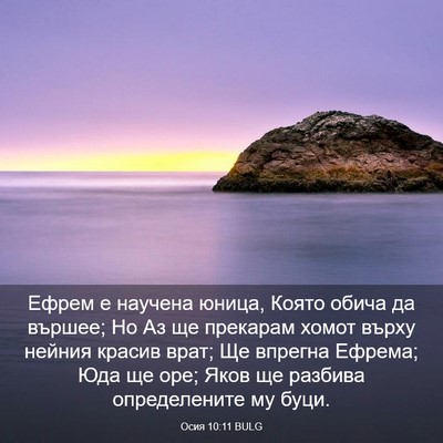 Picture 03 - Осия 10:11 BULG - Ефрем е научена юница, - Bible Verse Picture