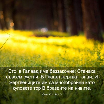 Picture 03 - Осия 12:11 BULG - Ето, в Галаад има - Bible Verse Picture