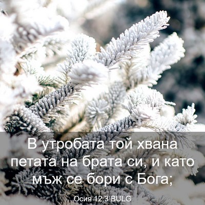 Picture 03 - Осия 12:3 BULG - В утробата той хвана - Bible Verse Picture