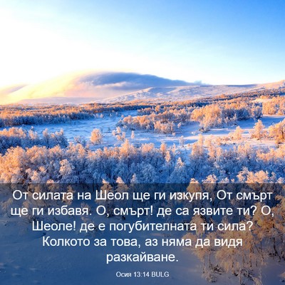 Picture 03 - Осия 13:14 BULG - От силата на Шеол ще ги - Bible Verse Picture
