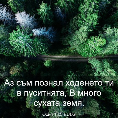 Picture 03 - Осия 13:5 BULG - Аз съм познал ходенето ти в - Bible Verse Picture