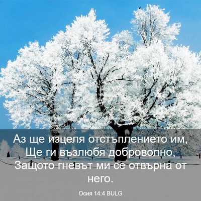 Picture 03 - Осия 14:4 BULG - Аз ще изцеля отстъплението - Bible Verse Picture