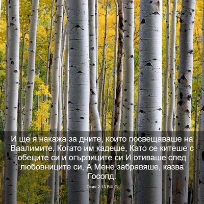 Picture 03 - Осия 2:13 BULG - И ще я накажа за дните, - Bible Verse Picture
