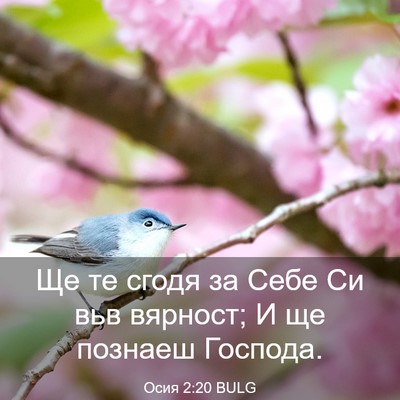 Picture 03 - Осия 2:20 BULG - Ще те сгодя за Себе Си вьв - Bible Verse Picture