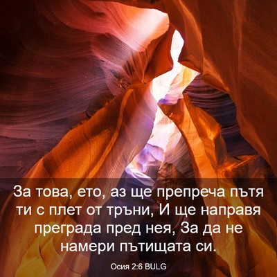 Picture 03 - Осия 2:6 BULG - За това, ето, аз ще препреча - Bible Verse Picture