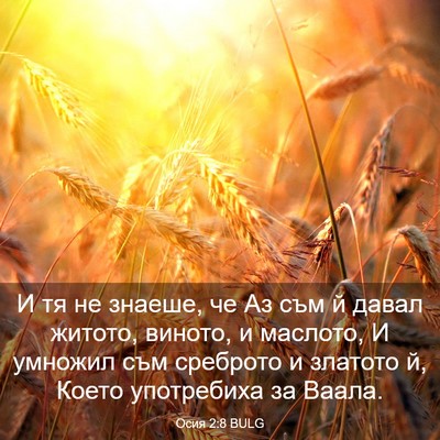 Picture 03 - Осия 2:8 BULG - И тя не знаеше, че Аз съм й - Bible Verse Picture