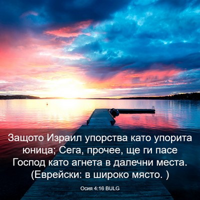 Picture 03 - Осия 4:16 BULG - Защото Израил упорства - Bible Verse Picture