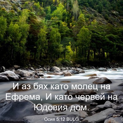 Picture 03 - Осия 5:12 BULG - И аз бях като молец на - Bible Verse Picture