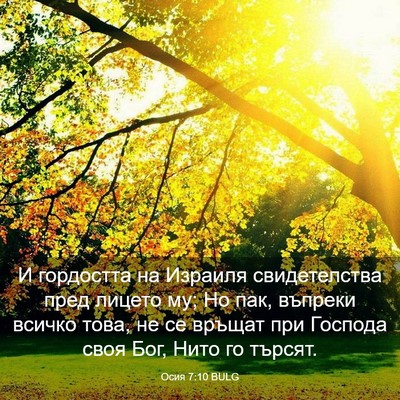 Picture 03 - Осия 7:10 BULG - И гордостта на Израиля - Bible Verse Picture
