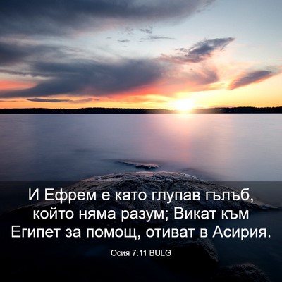 Picture 03 - Осия 7:11 BULG - И Ефрем е като глупав - Bible Verse Picture