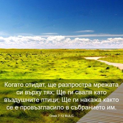 Picture 03 - Осия 7:12 BULG - Когато отидат, ще - Bible Verse Picture