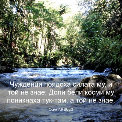 Picture 03 - Осия 7:9 BULG - Чужденци поядоха силата - Bible Verse Picture