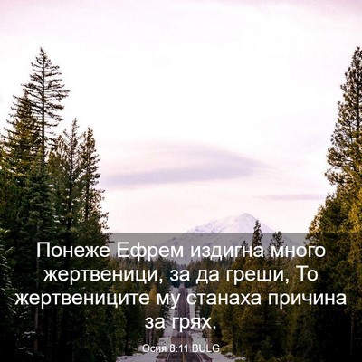 Picture 03 - Осия 8:11 BULG - Понеже Ефрем издигна много - Bible Verse Picture