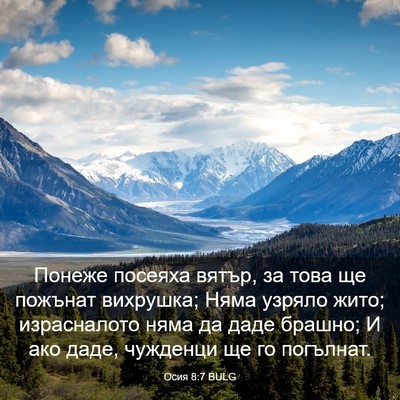 Picture 03 - Осия 8:7 BULG - Понеже посеяха вятър, за - Bible Verse Picture
