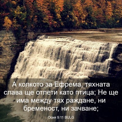Picture 03 - Осия 9:11 BULG - А колкото за Ефрема, - Bible Verse Picture