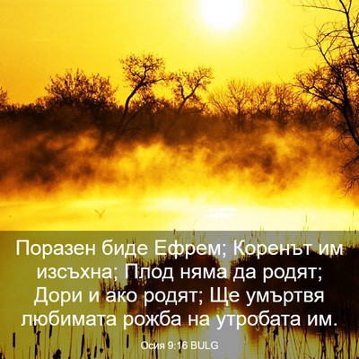 Picture 03 - Осия 9:16 BULG - Поразен биде Ефрем; - Bible Verse Picture