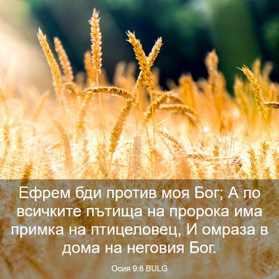 Picture 03 - Осия 9:8 BULG - Ефрем бди против моя Бог; А - Bible Verse Picture