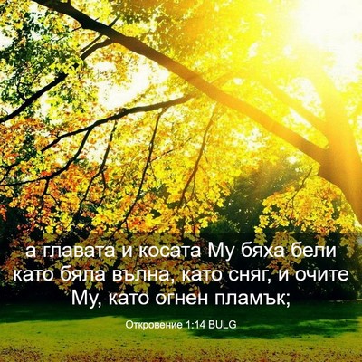 Picture 03 - Откровение 1:14 BULG - а главата и косата Му бяха - Bible Verse Picture