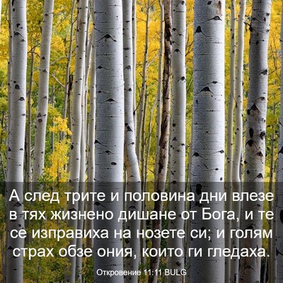 Picture 03 - Откровение 11:11 BULG - А след трите и половина дни - Bible Verse Picture
