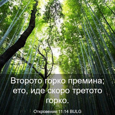 Picture 03 - Откровение 11:14 BULG - Второто горко премина; ето, - Bible Verse Picture