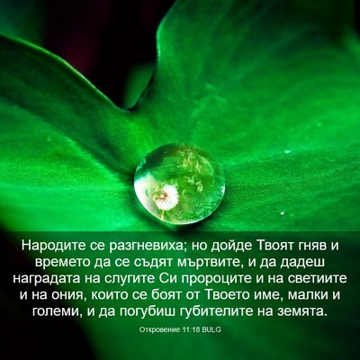 Picture 03 - Откровение 11:18 BULG - Народите се разгневиха; но - Bible Verse Picture