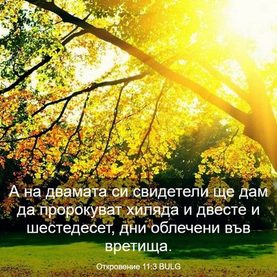 Picture 03 - Откровение 11:3 BULG - А на двамата си свидетели - Bible Verse Picture