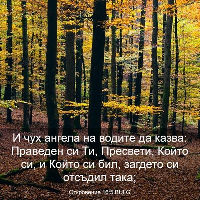 Picture 03 - Откровение 16:5 BULG - И чух ангела на водите да - Bible Verse Picture