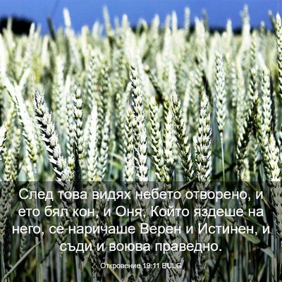 Picture 03 - Откровение 19:11 BULG - След това видях небето - Bible Verse Picture