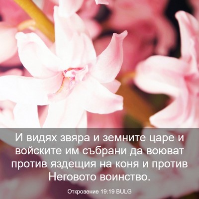 Picture 03 - Откровение 19:19 BULG - И видях звяра и земните - Bible Verse Picture