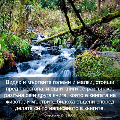 Picture 03 - Откровение 20:12 BULG - Видях и мъртвите големи и - Bible Verse Picture