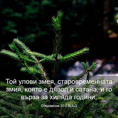 Picture 03 - Откровение 20:2 BULG - Той улови змея, - Bible Verse Picture