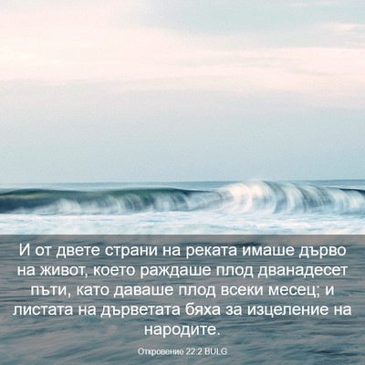 Picture 03 - Откровение 22:2 BULG - И от двете страни на реката - Bible Verse Picture