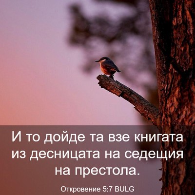 Picture 03 - Откровение 5:7 BULG - И то дойде та взе книгата - Bible Verse Picture