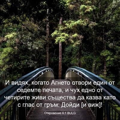 Picture 03 - Откровение 6:1 BULG - И видях, когато Агнето - Bible Verse Picture