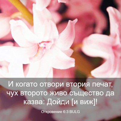 Picture 03 - Откровение 6:3 BULG - И когато отвори втория - Bible Verse Picture