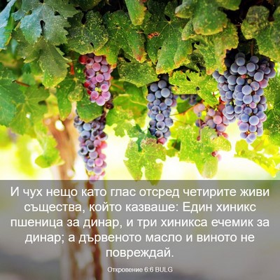 Picture 03 - Откровение 6:6 BULG - И чух нещо като глас отсред - Bible Verse Picture