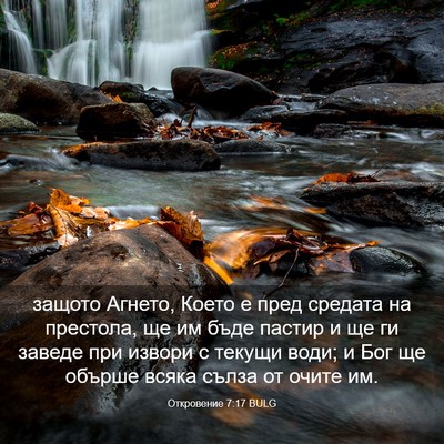 Picture 03 - Откровение 7:17 BULG - защото Агнето, Което е пред - Bible Verse Picture