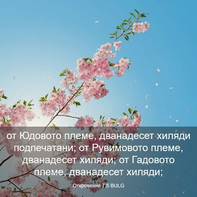 Picture 03 - Откровение 7:5 BULG - от Юдовото племе, - Bible Verse Picture