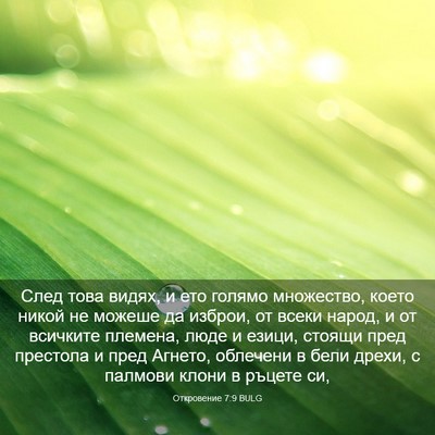 Picture 03 - Откровение 7:9 BULG - След това видях, и ето - Bible Verse Picture