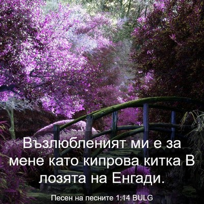 Picture 03 - Песен на песните 1:14 BULG - Възлюбленият ми е за мене - Bible Verse Picture